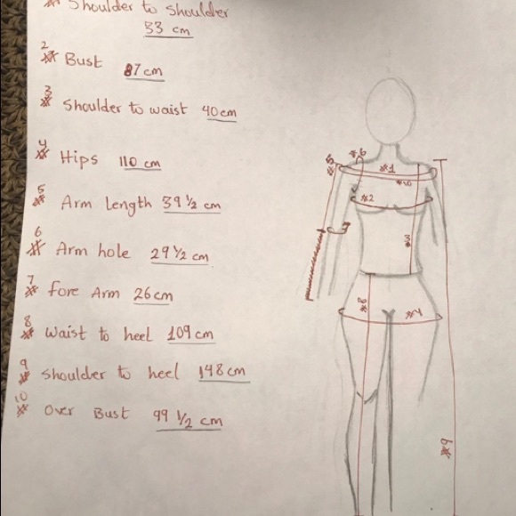 Pronovias Wedding dress + veil - Picture 8 of 8